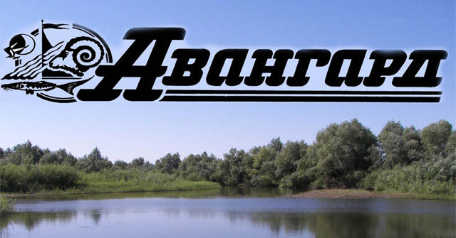 Газета Авангард